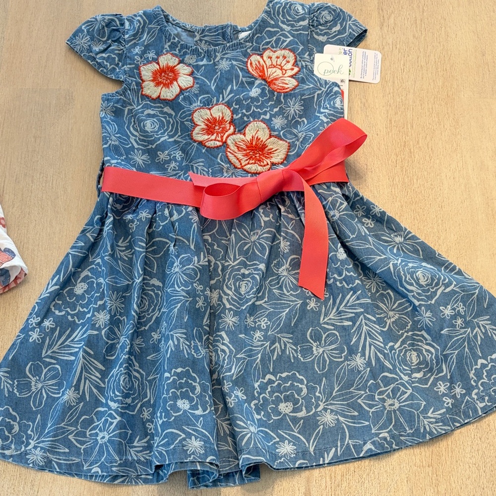 Peek NWT size 3T floral Embroidered Dress with Coral Sash